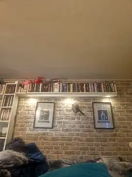 Fantasie-Hot-Sarah online show from February 24, 2025, 9:43 am