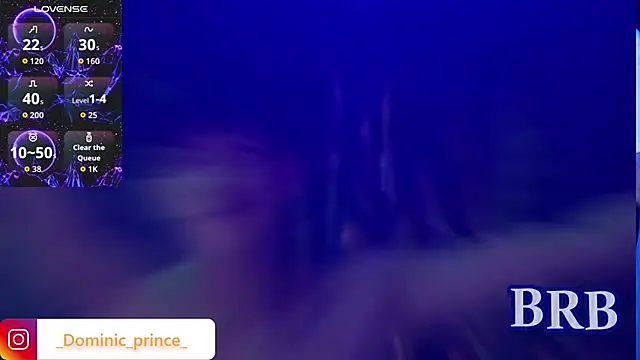 DominicPrince online show from March 31, 2026, 9:39 pm