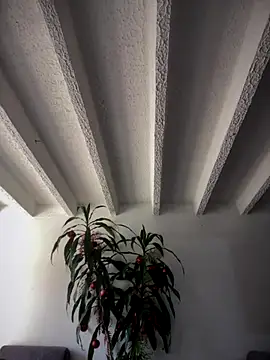 Khalyk G online show from December 15, 2025, 2:12 pm