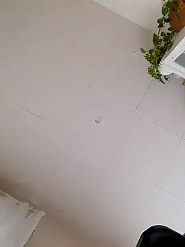 Snapshot of Greacky chatting on December 14, 2024, 12:01 pm Greacky online show from December 14, 2024, 12:01 pm