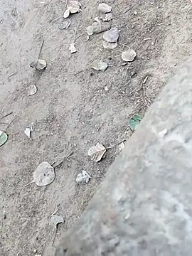 Snapshot of MAN_MOHINI_21 chatting on February 22, 2026, 9:44 am MAN MOHINI 21 online show from February 22, 2026, 9:44 am