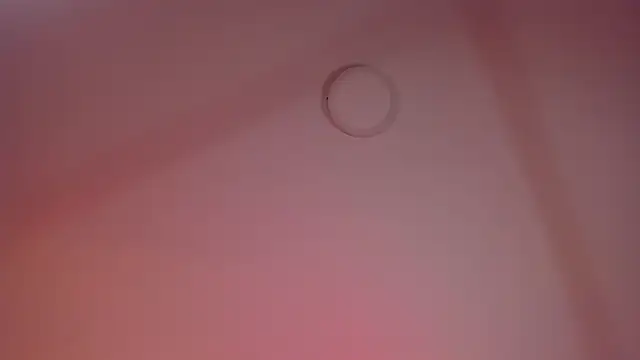 Snapshot of ALICEPOIXXXON chatting on March 15, 2026, 5:25 am ALICEPOIXXXON online show from March 15, 2026, 5:25 am