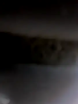 Godvibes online show from November 5, 2025, 6:55 pm