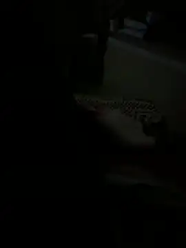 Snapshot of julia_julia02 chatting on February 24, 2026, 3:18 am julia julia02 online show from February 24, 2026, 3:18 am