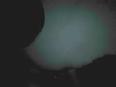 Snapshot of 18cm2hrcarlos chatting on March 25, 2026, 4:12 am 18cm2hrcarlos online show from March 25, 2026, 4:12 am