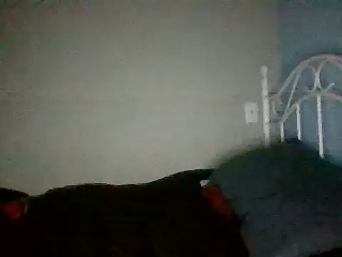 Snapshot of SmokingSloth chatting on March 16, 2025, 11:27 am SmokingSloth online show from March 16, 2025, 11:27 am