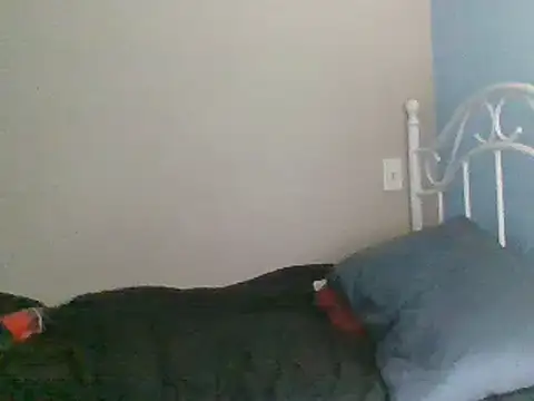 Snapshot of SmokingSloth chatting on March 16, 2025, 2:10 am SmokingSloth online show from March 16, 2025, 2:10 am