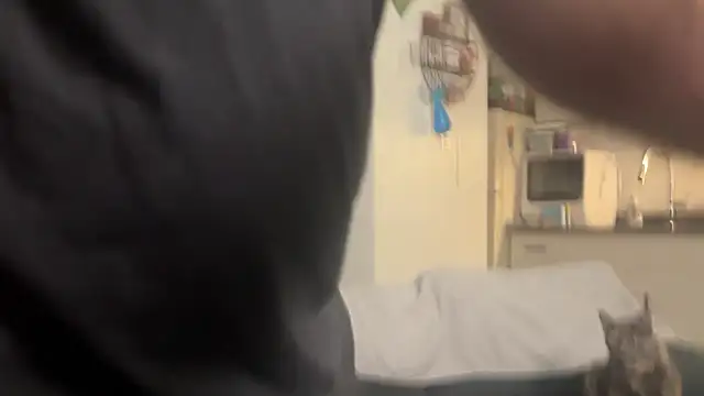 SpunCandy online show from February 28, 2026, 9:25 pm