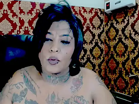 Indiancatz2 online show from February 3, 2026, 7:08 pm