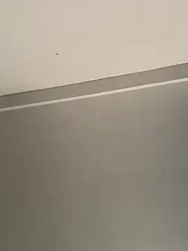 Snapshot of calleaaaa chatting on October 24, 2025, 9:19 am calleaaaa online show from October 24, 2025, 9:19 am