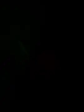 josle24 online show from December 8, 2024, 3:35 pm