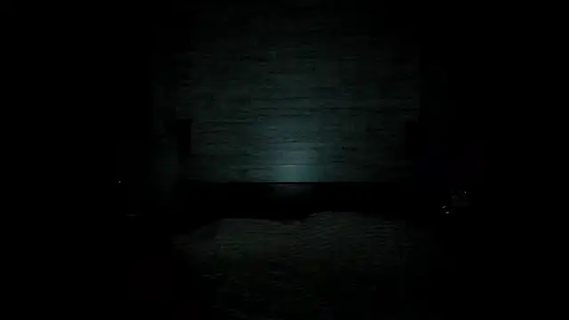 Chris Brunnet online show from February 5, 2026, 2:13 pm