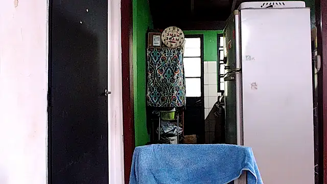 Snapshot of SusiDream chatting on March 21, 2025, 8:18 pm SusiDream online show from March 21, 2025, 8:18 pm