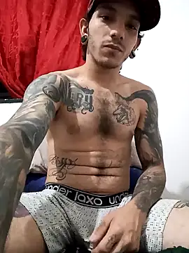 Snapshot of HornetBigDickonYou chatting on February 2, 2025, 2:38 am HornetBigDickonYou online show from February 2, 2025, 2:38 am