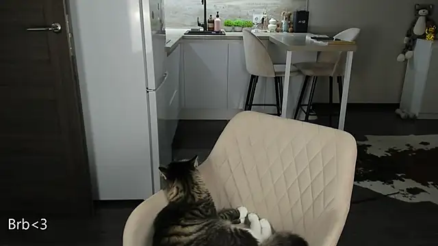 Snapshot of nilliluv chatting on March 19, 2026, 11:16 pm nilliluv online show from March 19, 2026, 11:16 pm