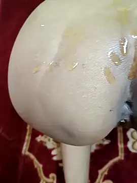 GF nd BF  online show from March 1, 2025, 3:38 pm