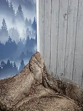 Snapshot of -Schweppes- chatting on March 2, 2025, 12:36 pm -Schweppes- online show from March 2, 2025, 12:36 pm