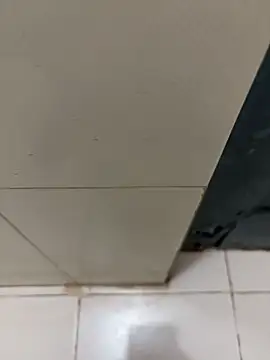 nangakings online show from December 17, 2025, 3:17 pm