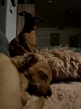 Snapshot of mecbxl25 chatting on November 29, 2025, 5:35 pm mecbxl25 online show from November 29, 2025, 5:35 pm