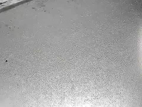 CafeCaliente69 online show from December 6, 2024, 7:39 pm