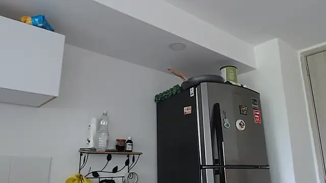 thomas gun online show from February 3, 2026, 3:28 pm