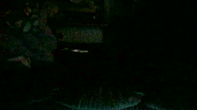 Snapshot of DI4MOND_FIR3 chatting on October 30, 2025, 2:47 pm DI4MOND FIR3 online show from October 30, 2025, 2:47 pm