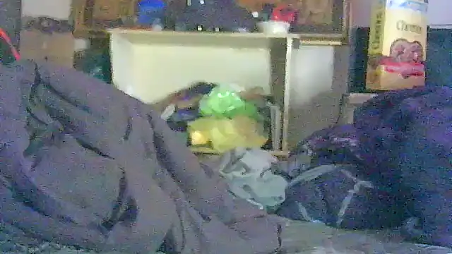 Snapshot of DI4MOND_FIR3 chatting on April 9, 2026, 6:25 pm DI4MOND FIR3 online show from April 9, 2026, 6:25 pm