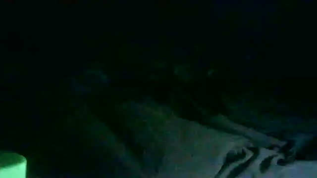 Snapshot of DI4MOND_FIR3 chatting on March 25, 2026, 9:19 am DI4MOND FIR3 online show from March 25, 2026, 9:19 am