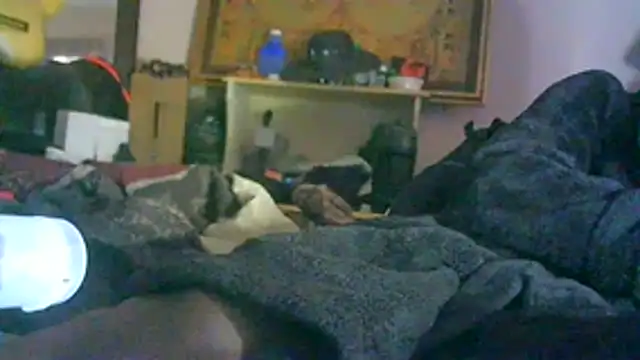 DI4MOND FIR3 online show from February 17, 2026, 8:17 pm