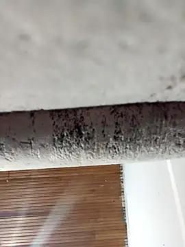 Snapshot of dulce_celeste15 chatting on March 31, 2026, 1:40 am dulce celeste15 online show from March 31, 2026, 1:40 am