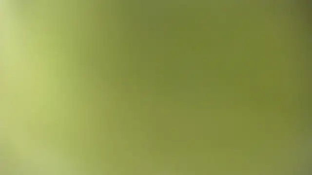 KOURTNEY-- online show from September 28, 2025, 2:07 am