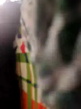 Priya-bhabi012 online show from April 25, 2026, 2:03 am