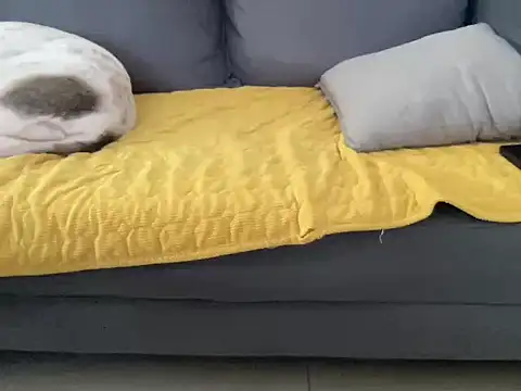 4small4inchlol online show from October 13, 2025, 10:50 am