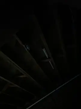 stroker-smoker online show from February 10, 2025, 3:57 am