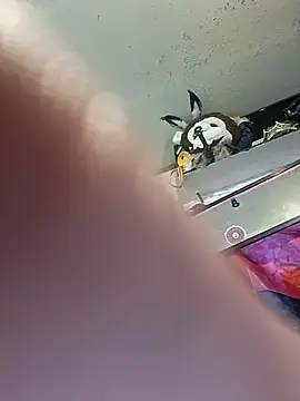 gettinit2wice online show from March 11, 2026, 2:00 pm