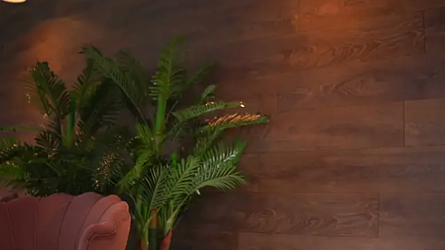 Snapshot of KairaAndrews chatting on February 12, 2026, 7:57 pm KairaAndrews online show from February 12, 2026, 7:57 pm