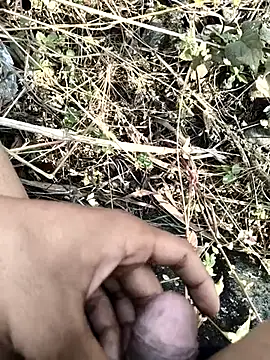 royalrohan3245 online show from November 20, 2025, 4:57 am