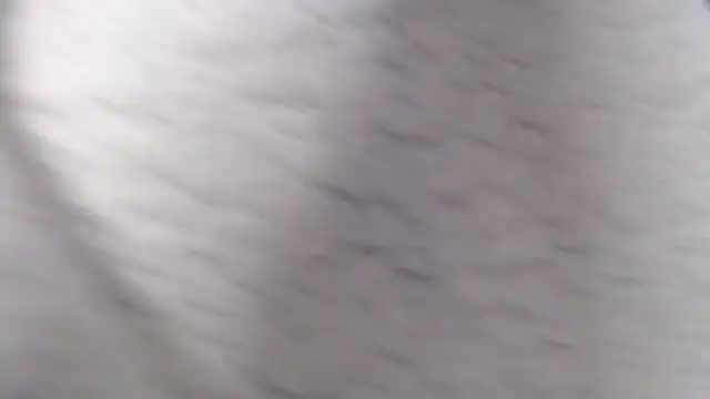 fk me good online show from December 2, 2025, 4:52 pm