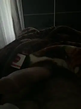 Snapshot of Serkan3356 chatting on November 13, 2025, 7:56 am Serkan3356 online show from November 13, 2025, 7:56 am