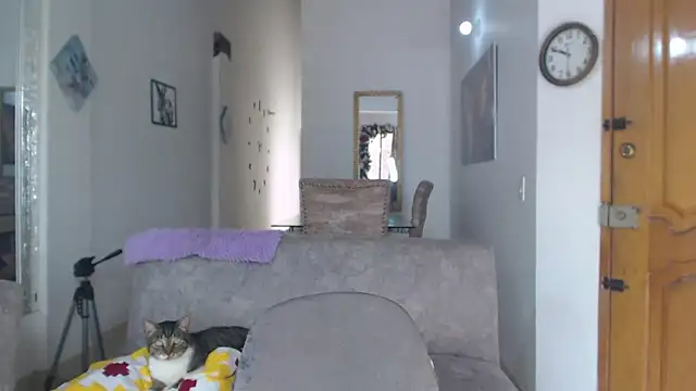 divinepleasury online show from November 12, 2025, 3:49 pm