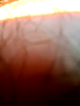 mfreitas005 online show from April 22, 2026, 12:56 pm