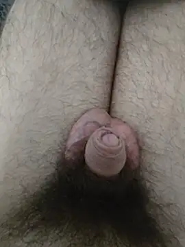 Snapshot of hungarian_dick chatting on May 27, 2026, 11:06 am hungarian dick online show from May 27, 2026, 11:06 am