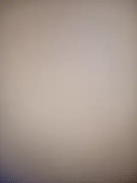 bustybillies online show from February 12, 2026, 10:37 am