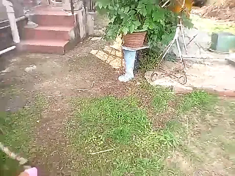 bustybillies online show from October 11, 2025, 3:57 pm