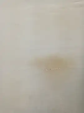 Rina777o online show from March 7, 2025, 6:11 pm