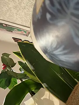 x-6-chouchou online show from September 21, 2025, 3:11 am