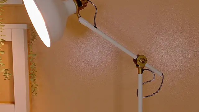 ParisFox  online show from March 8, 2026, 2:04 am