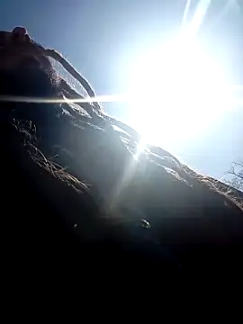 Snapshot of QcMisterv13 chatting on March 14, 2025, 5:57 pm QcMisterv13 online show from March 14, 2025, 5:57 pm