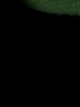 Snapshot of Sexoardiente69 chatting on February 26, 2025, 9:20 pm Sexoardiente69 online show from February 26, 2025, 9:20 pm