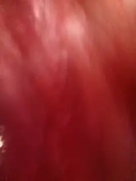 Kim 19 online show from October 30, 2025, 4:11 am